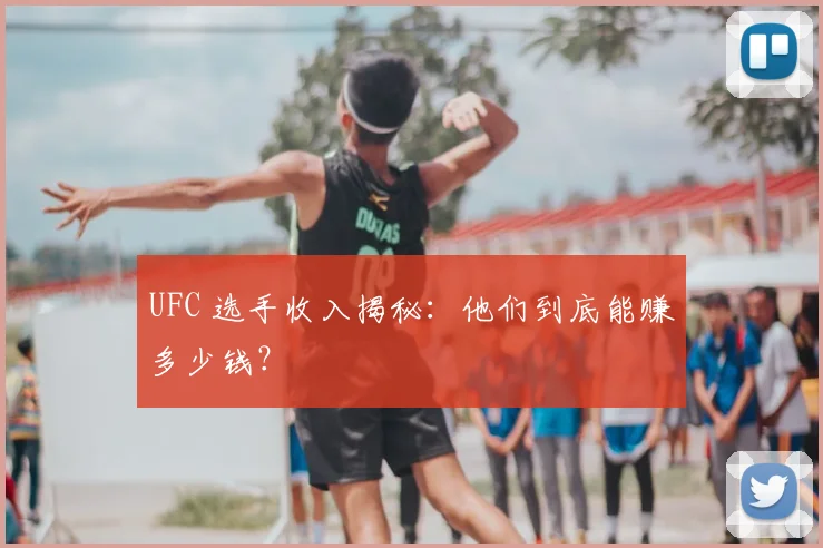UFC 选手收入揭秘:他们到底能赚多少钱?