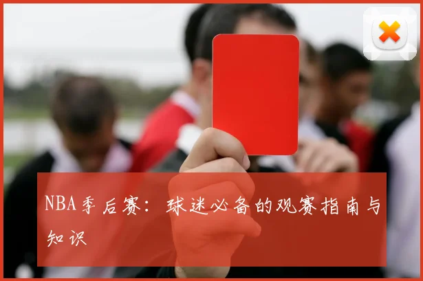 NBA季后赛：球迷必备的观赛指南与知识