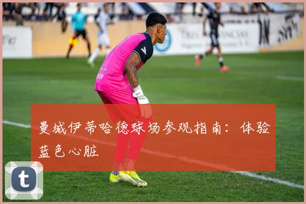 曼城伊蒂哈德球场参观指南:体验蓝色心脏