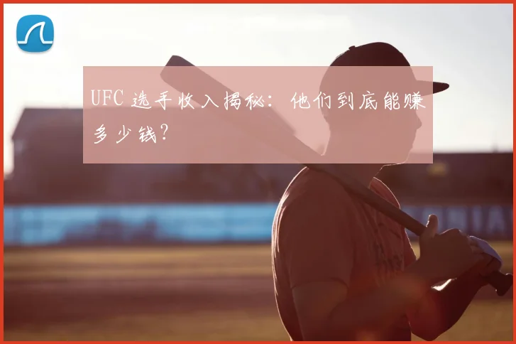UFC 选手收入揭秘:他们到底能赚多少钱?