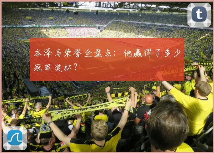 本泽马荣誉全盘点：他赢得了多少冠军奖杯？